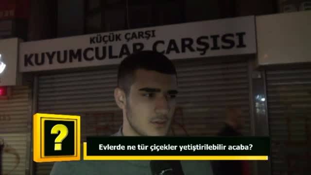 Evlerde ne tür çiçekler yetiştirilebilir?