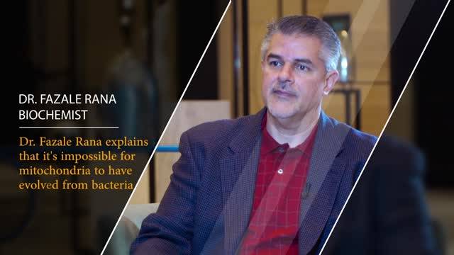 Dr. Fazale Rana Explains That It's Impossible for Mitochondria to have Evolved from Bacteria