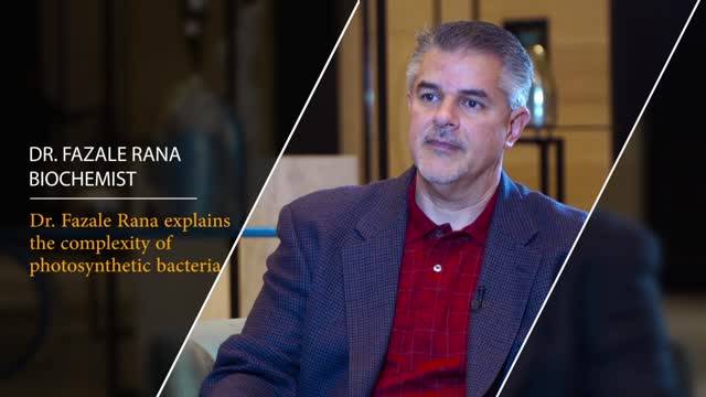 Dr. Fazale Rana Explains The Complexity of Photosynthetic Bacteria 