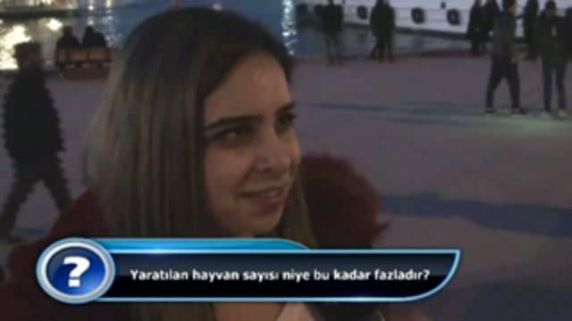 Yaratılan hayvan sayısı neden bu kadar fazladır?