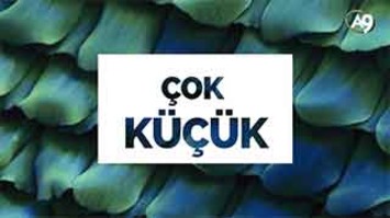 Çok küçük mikroskobik resimler