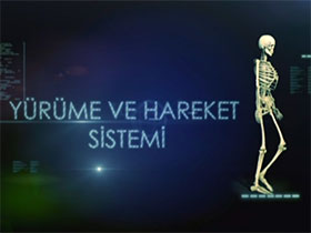 Yürüme ve Hareket Sistemi