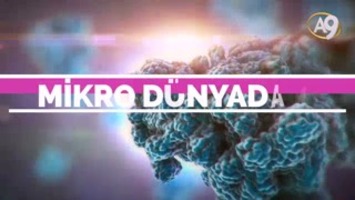 Görünmeyen Dünya - 4
