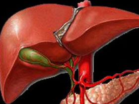 Bakıma İhtiyaç Duymayan Sistem: Karaciğer