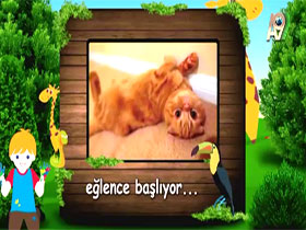 Eğlence başlıyor!!!