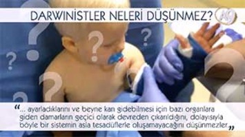 Darwinistler neleri düşünmez? -10- (Kanama-Yaralanma Tedavisi)