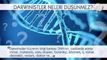 Darwinistler neleri düşünmez? -11- (DNA)