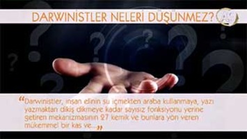 Darwinistler neleri düşünmez? -12- (İnsan Eli)