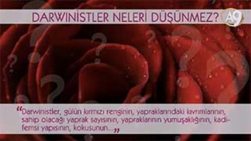 Darwinistler neleri düşünmez? -7- (Bitkiler)