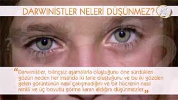 Darwinistler neleri düşünmez? -8- (Göz)