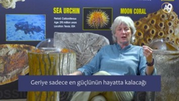 Dr. Anjeanette Roberts: Evrim Teorisi Ve Darwinizm İnsanlık Üzerinde Tam Olarak Ne Gibi Zararlara Yol Açıyor?