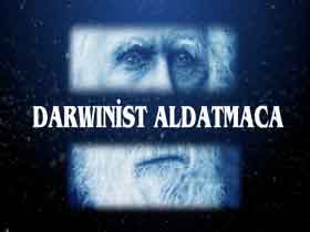 Darwinist Aldatmaca Tüm İnsanlık Adına Büyük Bir Utançtır