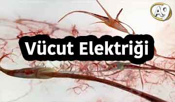 Vücudun elektriği hiç tükenmez