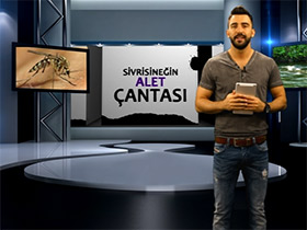 Bilgi Küpü: Sivrisineğin Alet Çantası