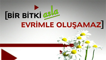 Evrimciler itiraf ediyor: Bir bitki asla evrimle oluşamaz