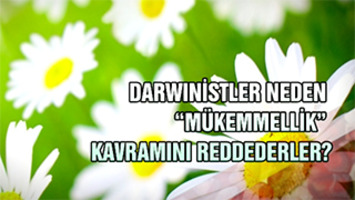 Darwinistler neden mükemmellik kavramını reddederler?