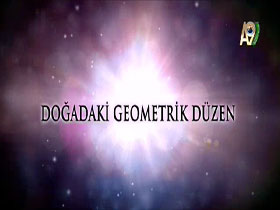 Doğadaki Geometrik Düzen