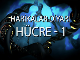 Harikalar Diyarı Hücre