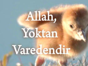 Allah yoktan var edendir