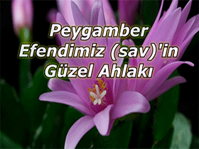 Peygamber Efendimiz (sav)'in Güzel Ahlakı