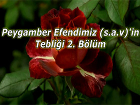 Peygamber Efendimiz (sav)'in tebliği 2.bölüm