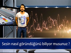 Bilgi Küpü: Ses nasıl görünür?