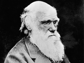 Darwin'in Türk düşmanlığı