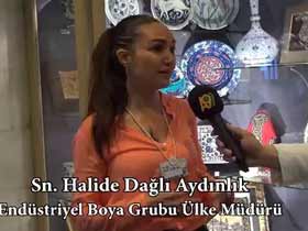 Halide Dağlı Aydınlık, Endüstriyel Boya Grubu Ülke Müdürü