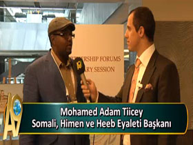 Mohamed Adam Tiicey, Somali, Himen ve Heeb Eyaleti Başkanı