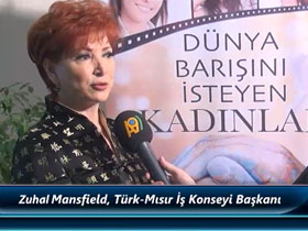 Zuhal Mansfield, Türk-Mısır İş Konseyi Başkanı