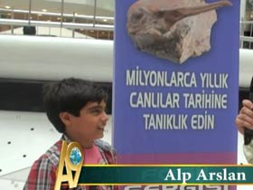 Alp Arslan