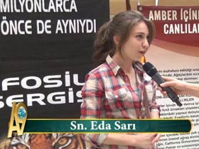 Eda Sarı