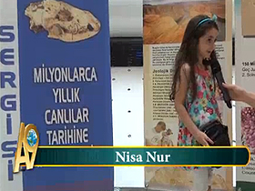 Nisa Nur
