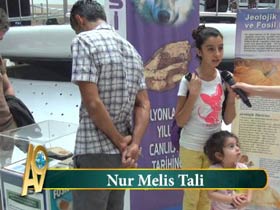 Nur Melis Tali