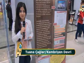 Tuana Çağlar evrimin iki ayaklılık çıkmazını anlatıyor