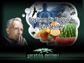 Düşünen bir topluluk için Deliller 2. bölüm