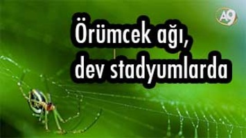 Örümcek ağı çatılar ve dev stadyumlarda