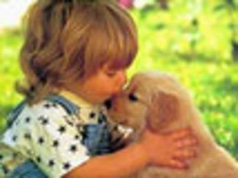 Çocuklarda hayvan sevgisi