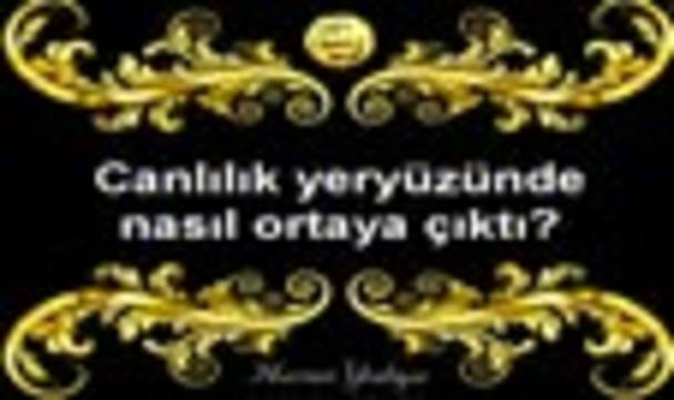 Evrim Teorisi neden geçersizdir? 2