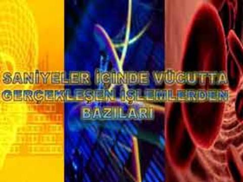 Saniyeler içinde vücutta gerçekleşen işlemlerden bazıları