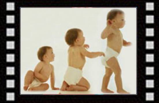 The miracle of the locomotion and movement system